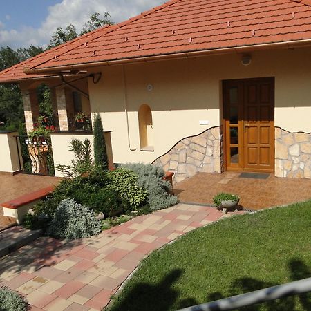 Janus Apartman Sarvar Bagian luar foto