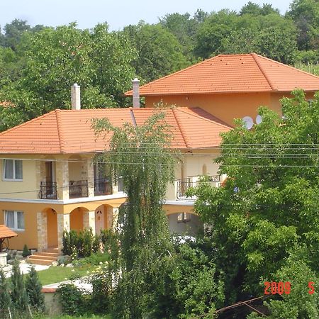 Janus Apartman Sarvar Bagian luar foto